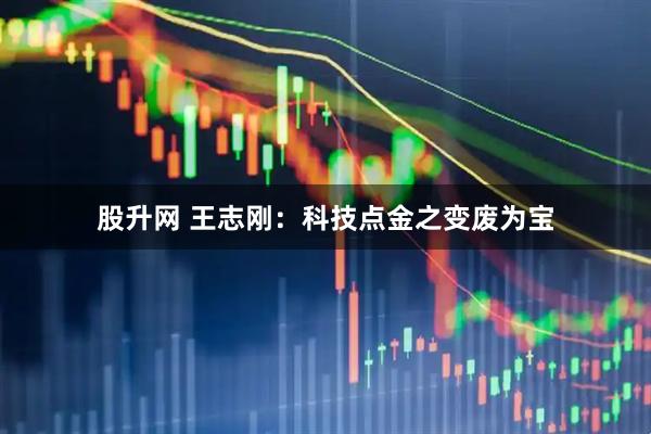 股升网 王志刚：科技点金之变废为宝