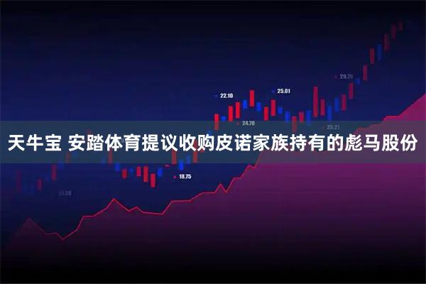 天牛宝 安踏体育提议收购皮诺家族持有的彪马股份