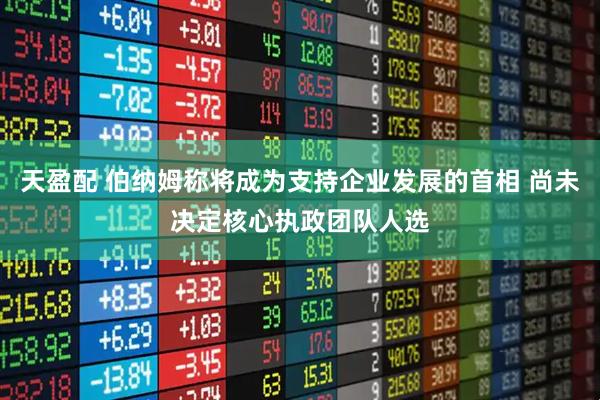 天盈配 伯纳姆称将成为支持企业发展的首相 尚未决定核心执政团队人选
