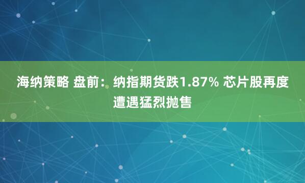 海纳策略 盘前:纳指期货跌1.87% 芯片股再度遭遇猛烈抛售